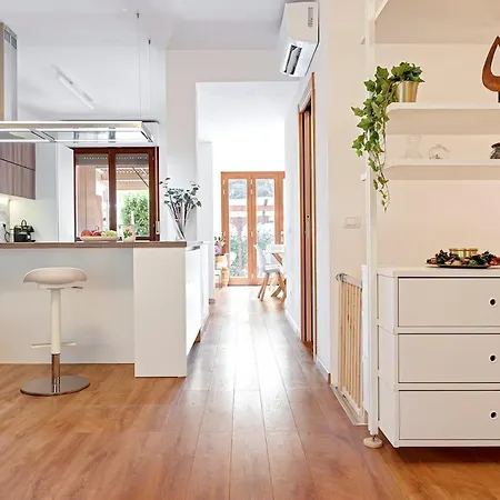 Appartement Windrose Honey Tirrenia